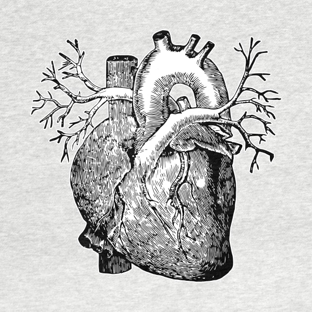 Anatomical heart 2.0 by euglenii